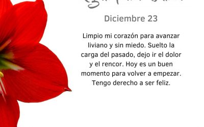 Pensamiento simiente: suelto la carga del pasado