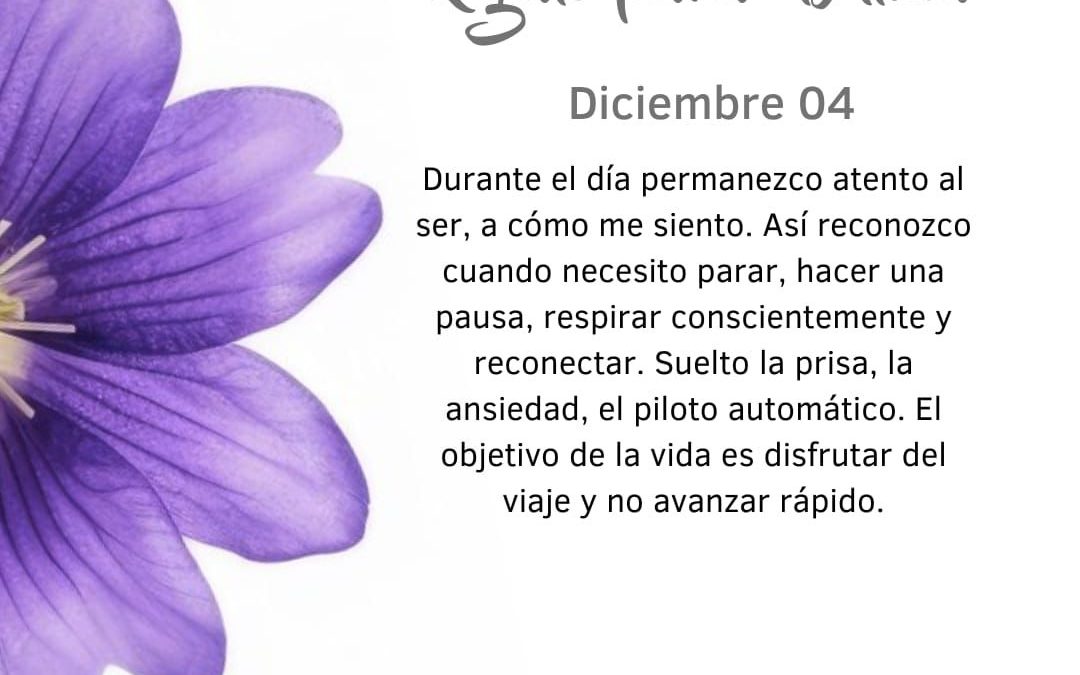 Pensamientos de diciembre: hacer una pausa