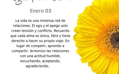 El ego y el apego crean conflicto