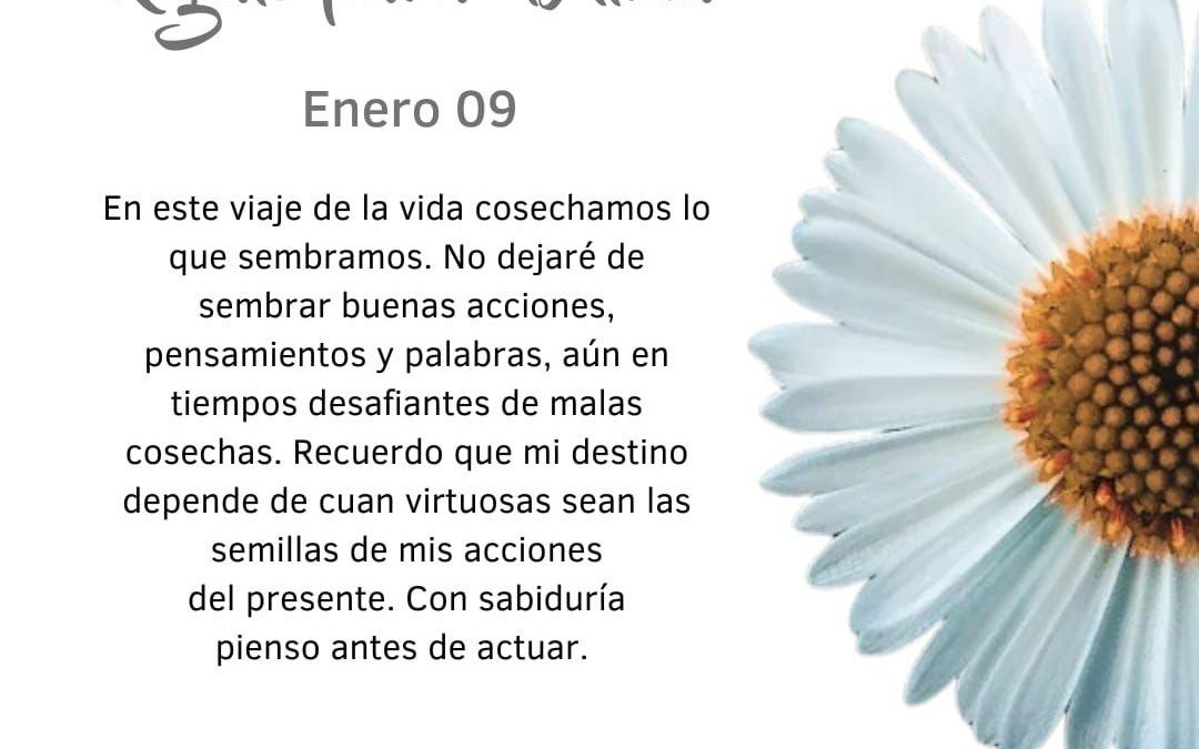 Cosechamos lo que sembramos