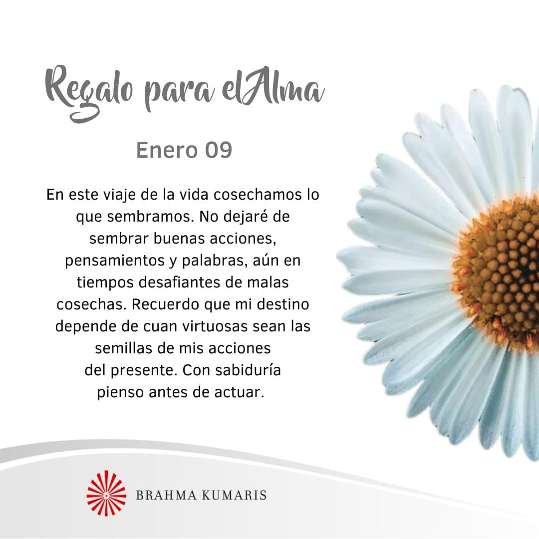 Cosechamos lo que sembramos