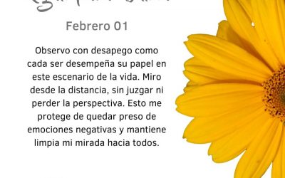 Observo con desapego