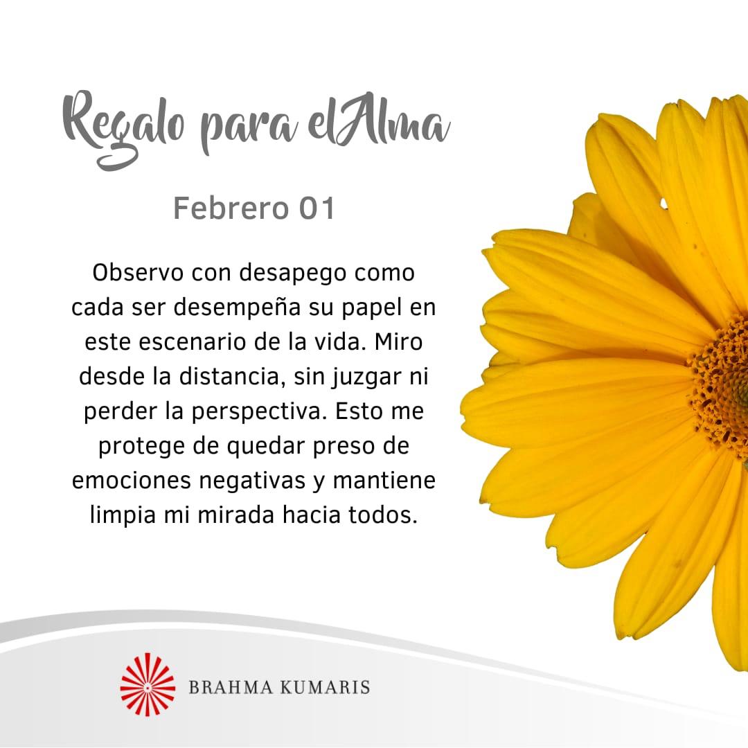 Observo con desapego