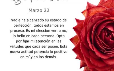 Intento elegir (aunque se que no es fácil)