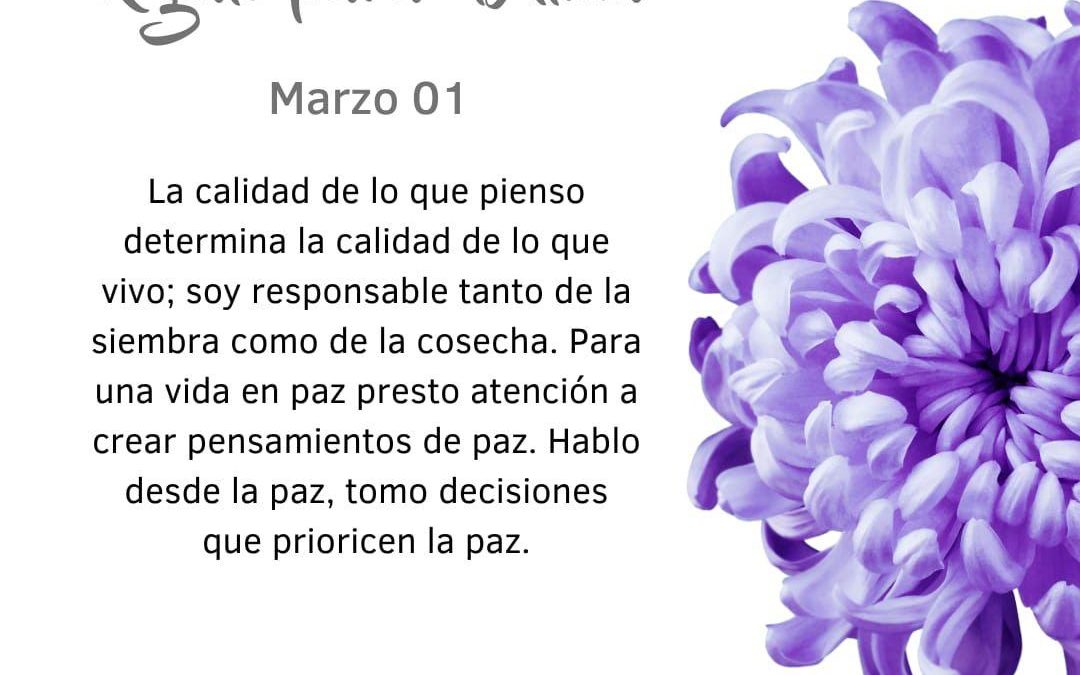 La energía sigue al pensamiento