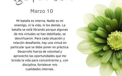 Desarrollo fuerza de voluntad