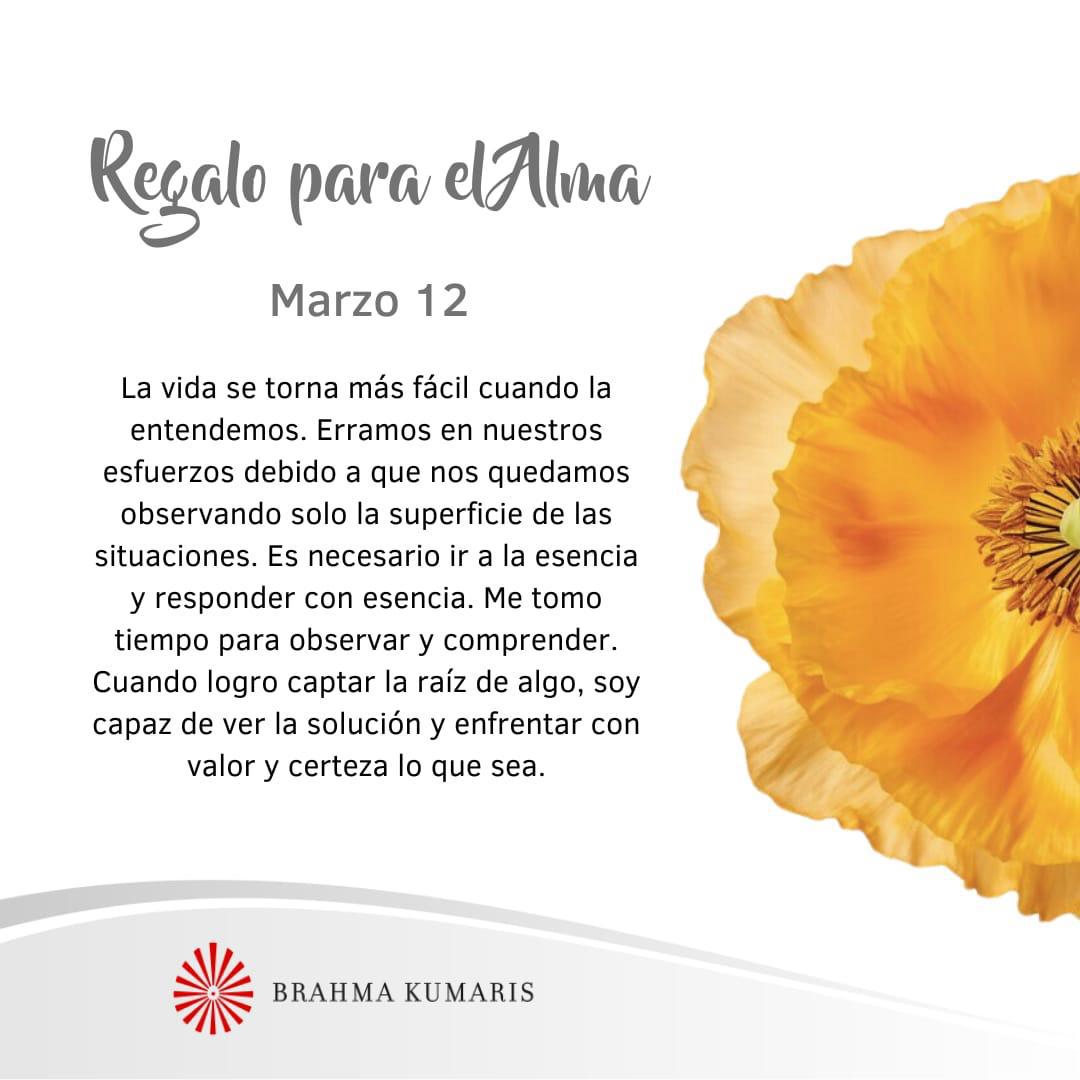 Ir a la esencia