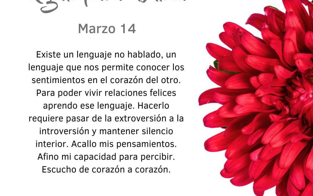 Acallo el pensamiento