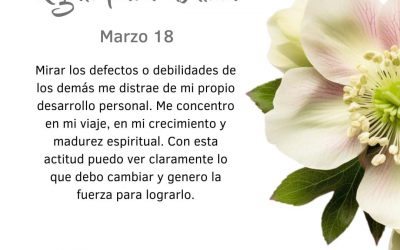 Me concentro en mi viaje