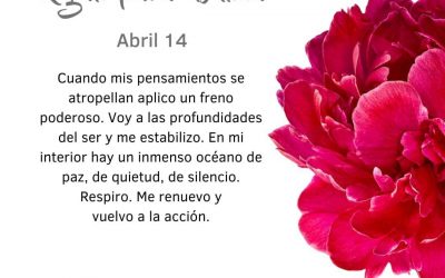 Me renuevo y vuelvo a la acción