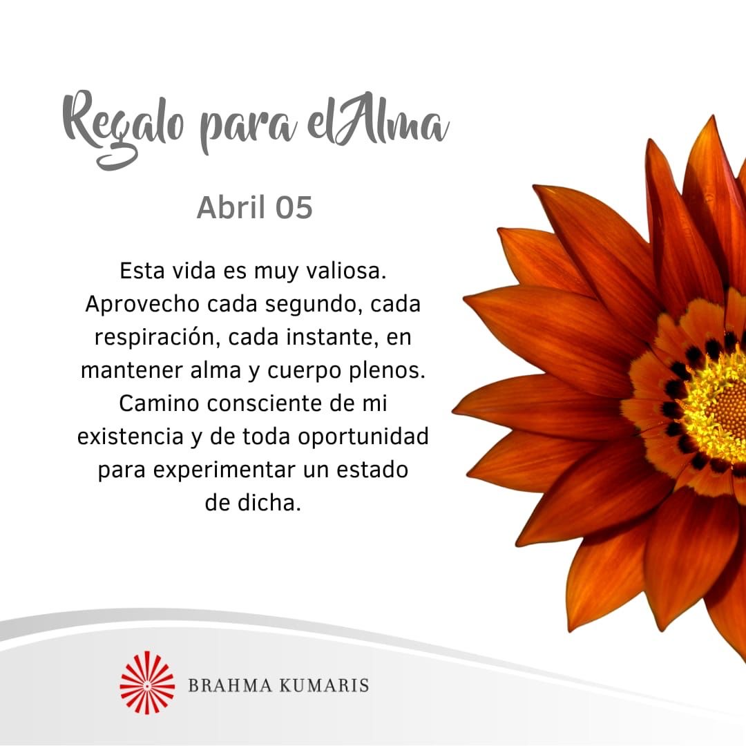 Camino consciente