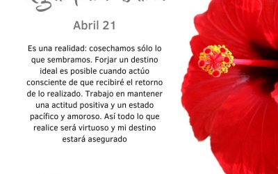 Cosechamos lo que sembramos