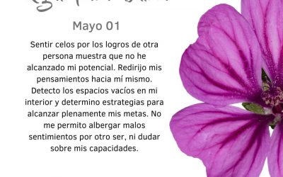 Dirijo el pensamiento