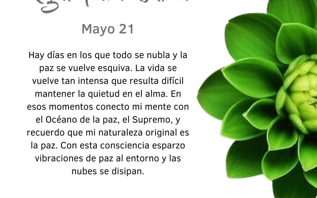 Conecto con el Supremo