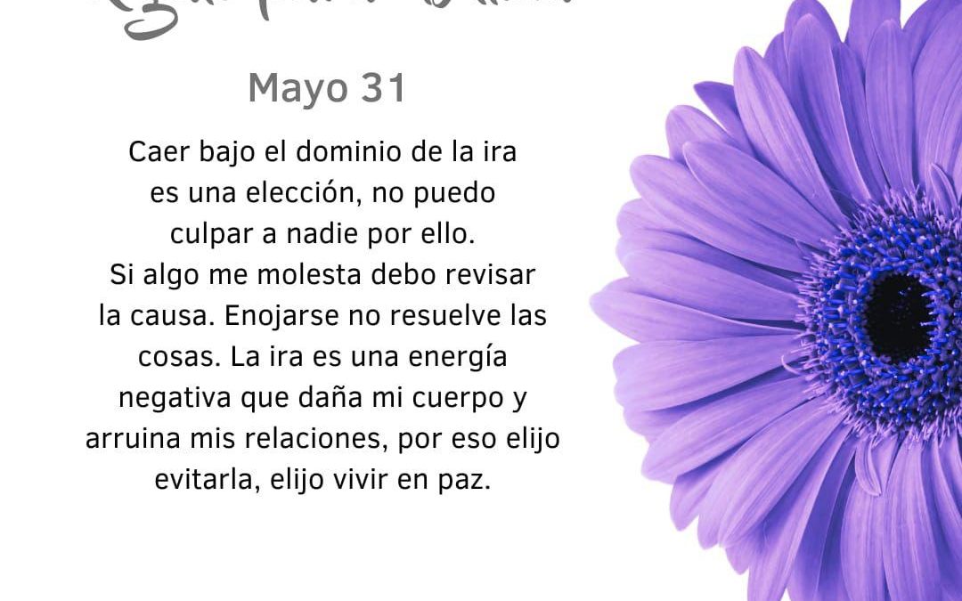 La ira no es buena amiga