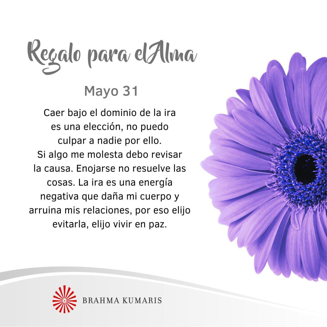 La ira no es buena amiga