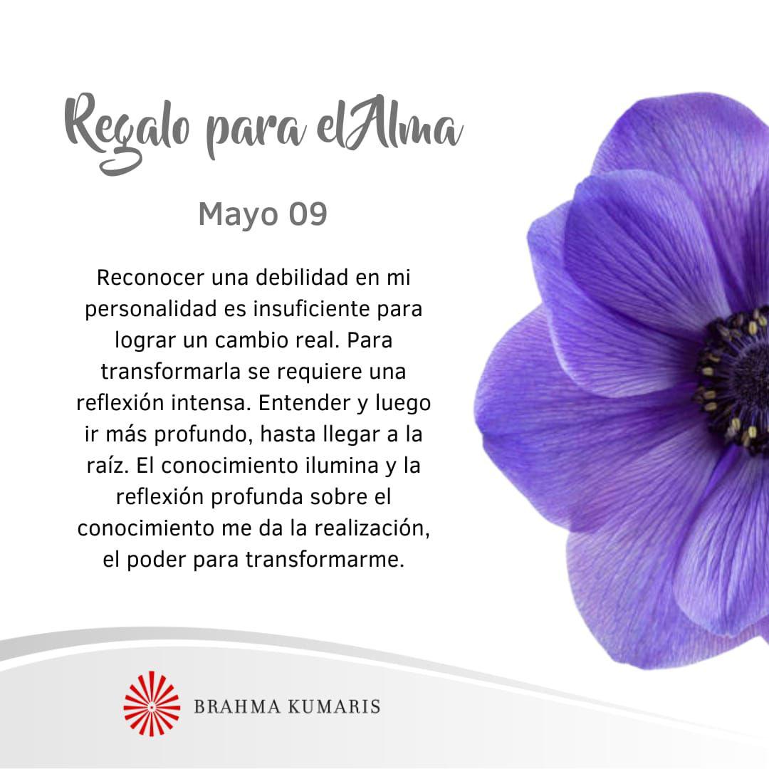 Ir a la raiz