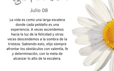 Afronto los obstáculos