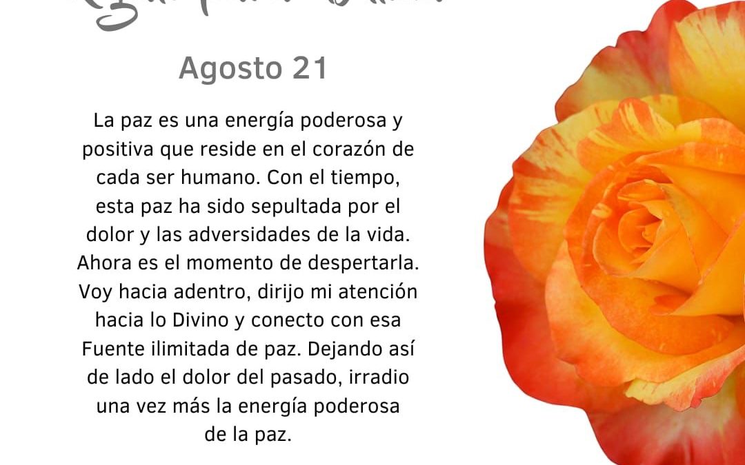 Conecto con la Fuente