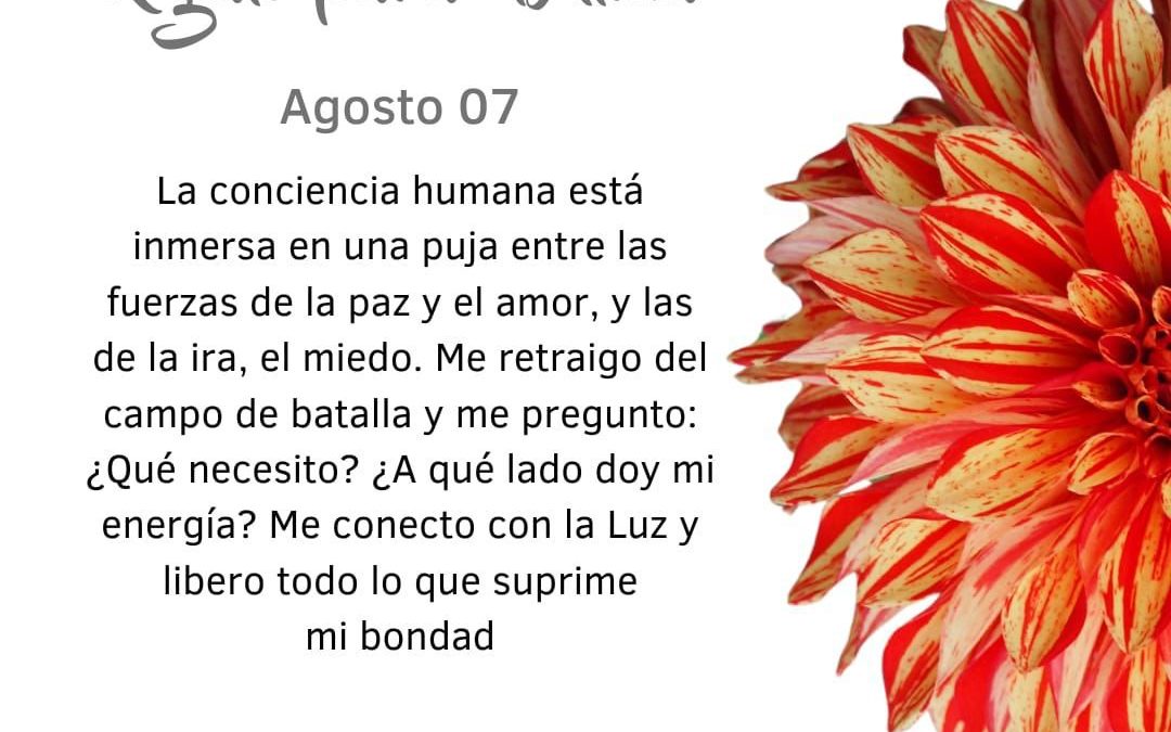 ¿Dónde pongo mi energía?