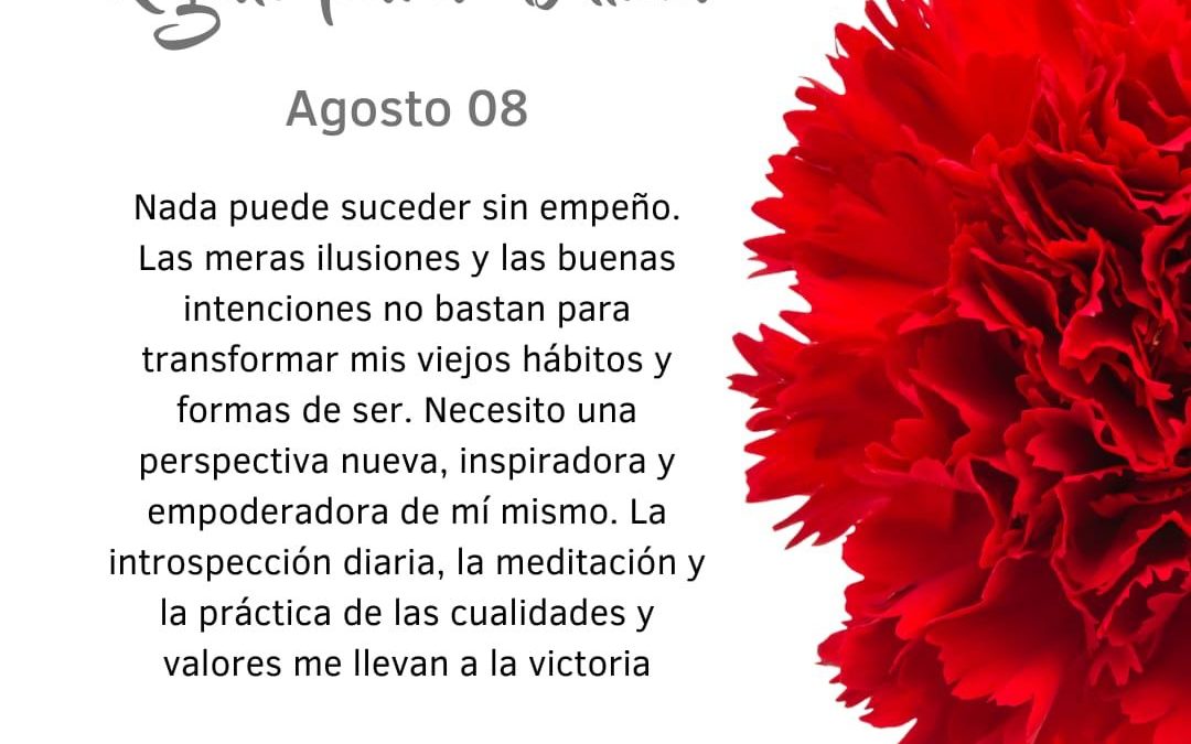 Una perspectiva nueva