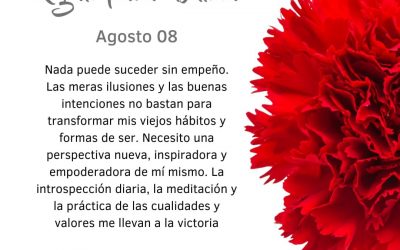 Una perspectiva nueva