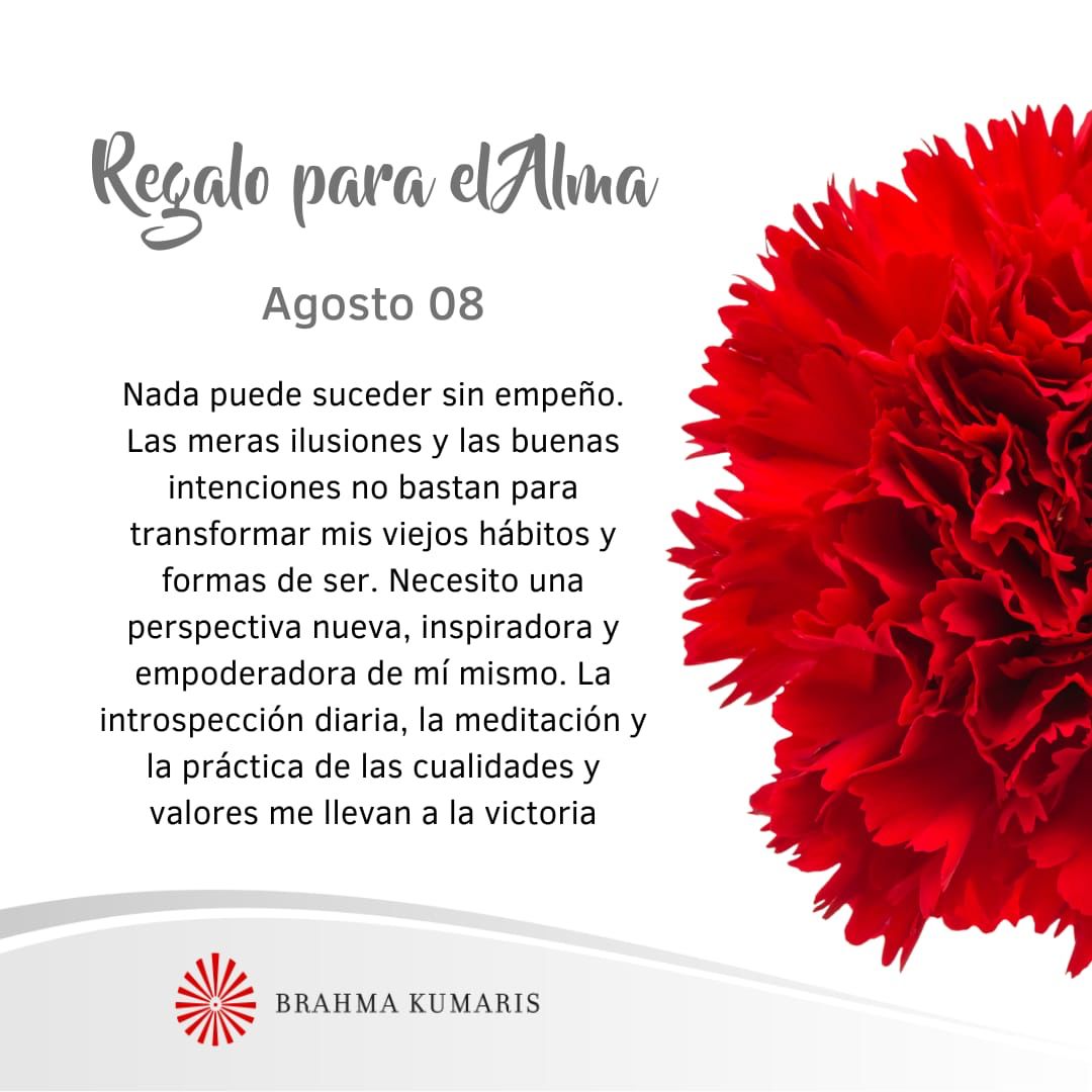 Una perspectiva nueva