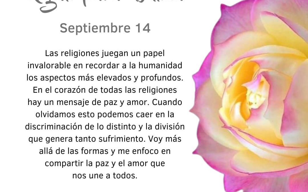 Voy más allá de las formas