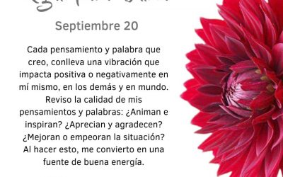 Reviso la calidad de mi pensamiento