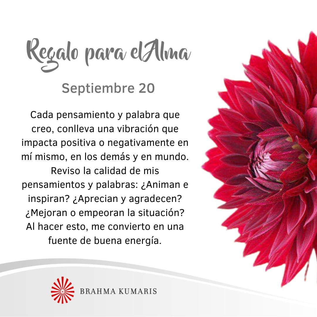Reviso la calidad de mi pensamiento