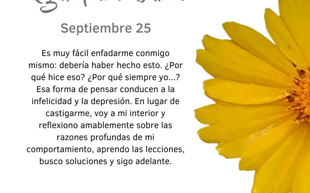 Aprendo las lecciones