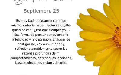 Aprendo las lecciones