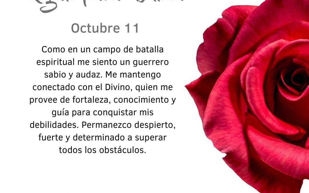 Me mantengo conectado