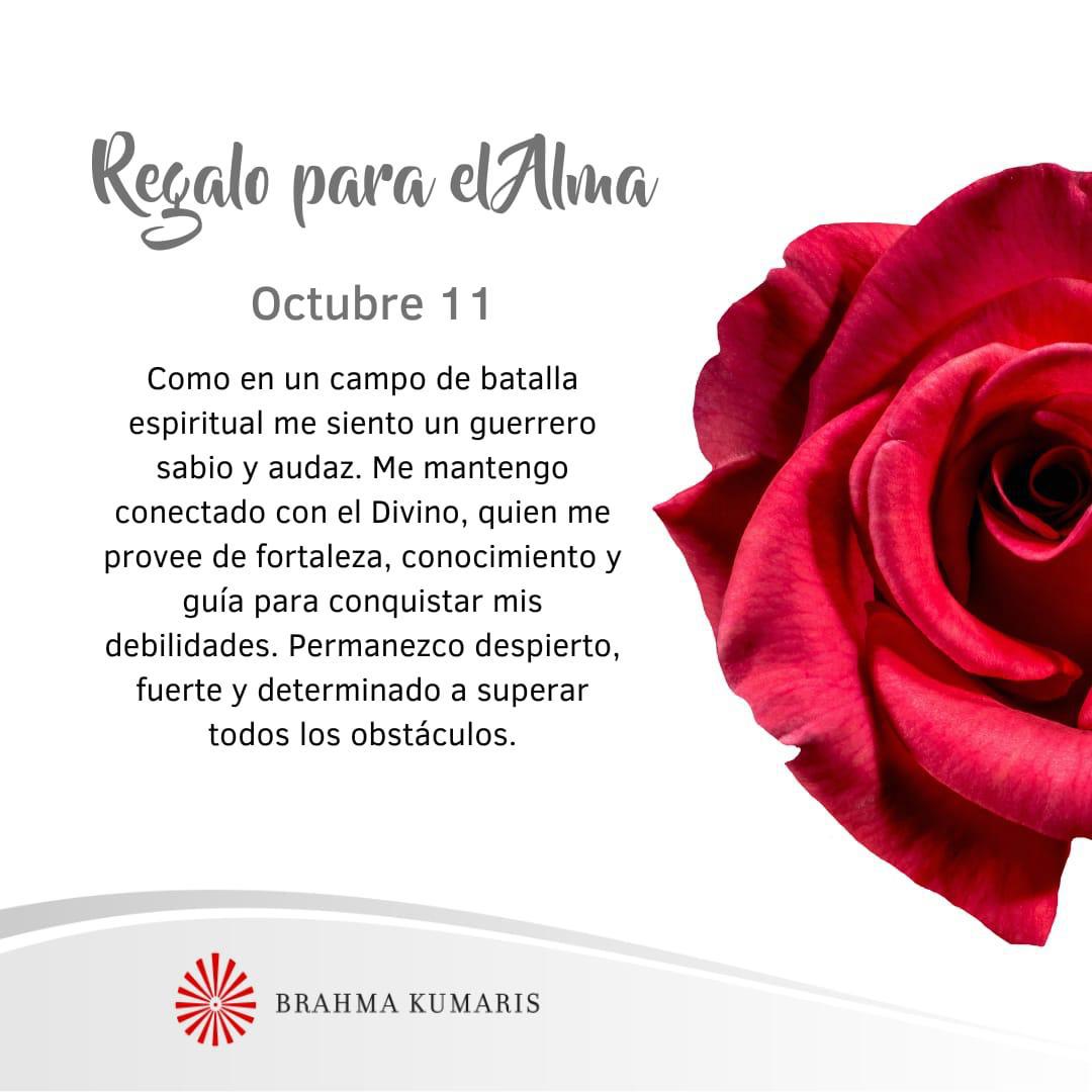 Me mantengo conectado