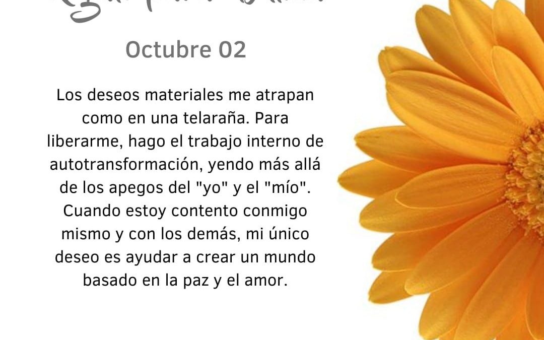 Más allá del apego