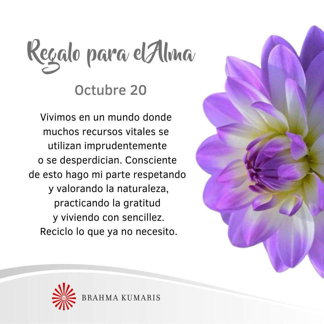Practico gratitud