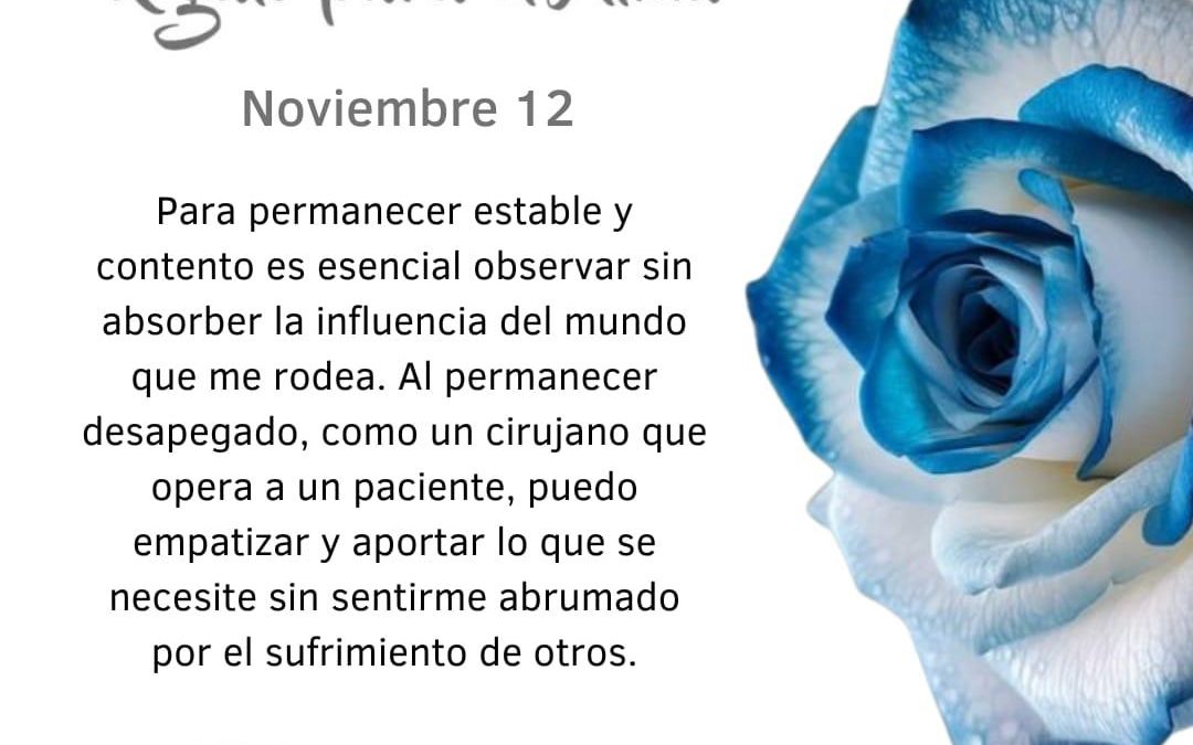 Observo