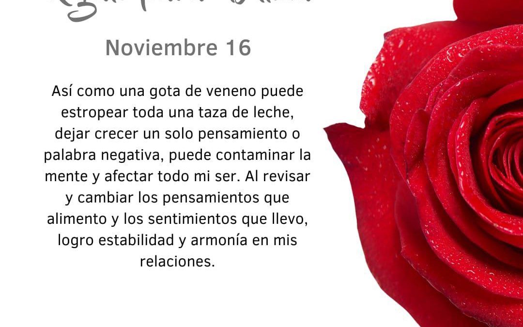Busco armonía