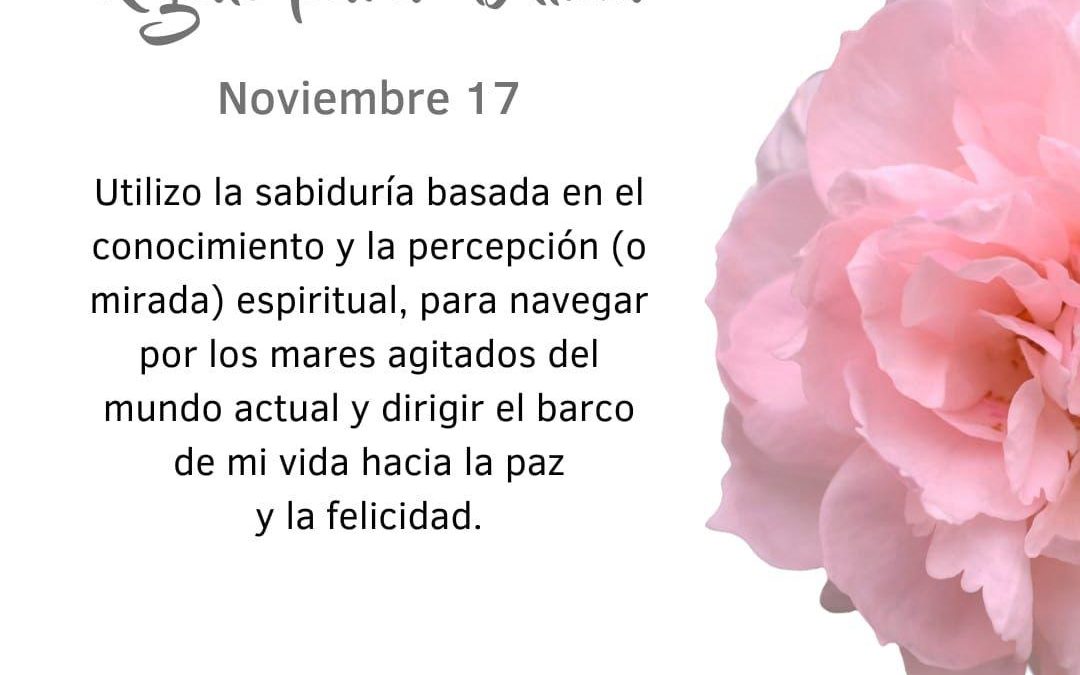 Dirijo el barco