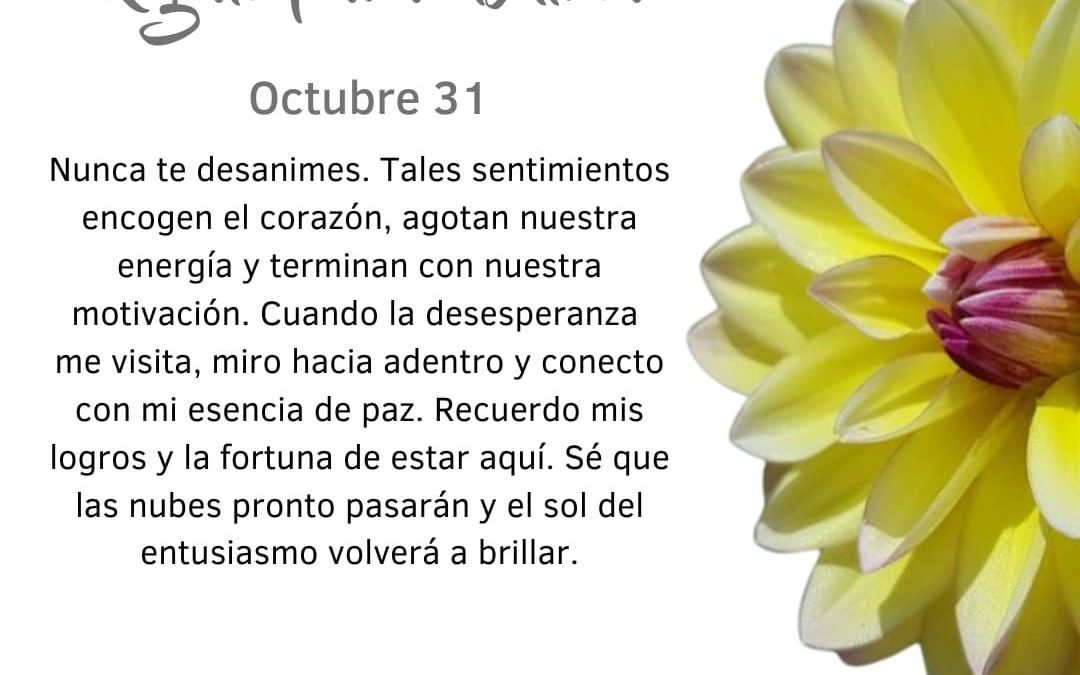 No me desanimo