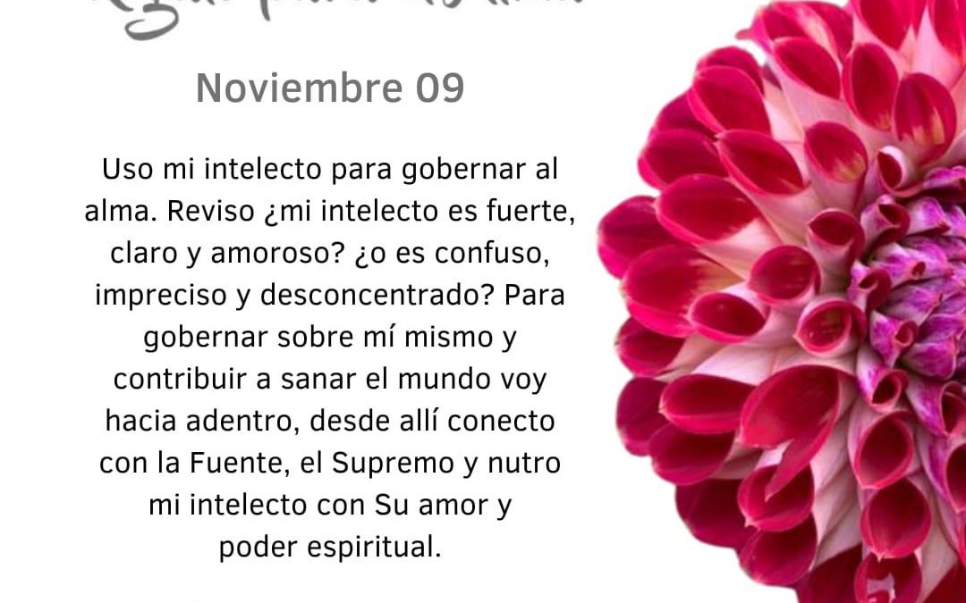 Siempre la Fuente
