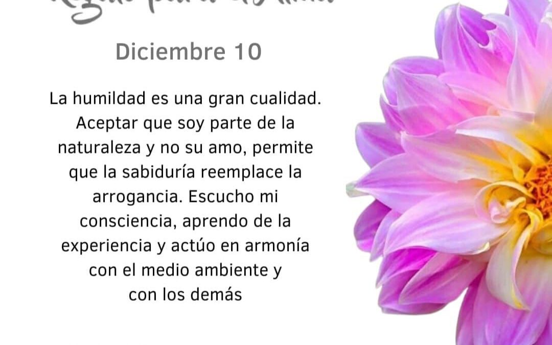 Escucho