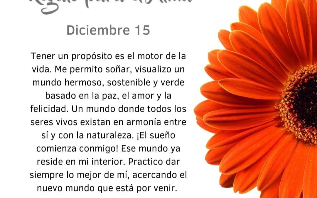Visualizo