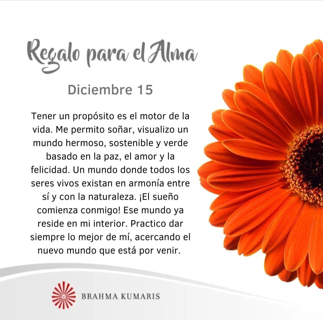 Visualizo