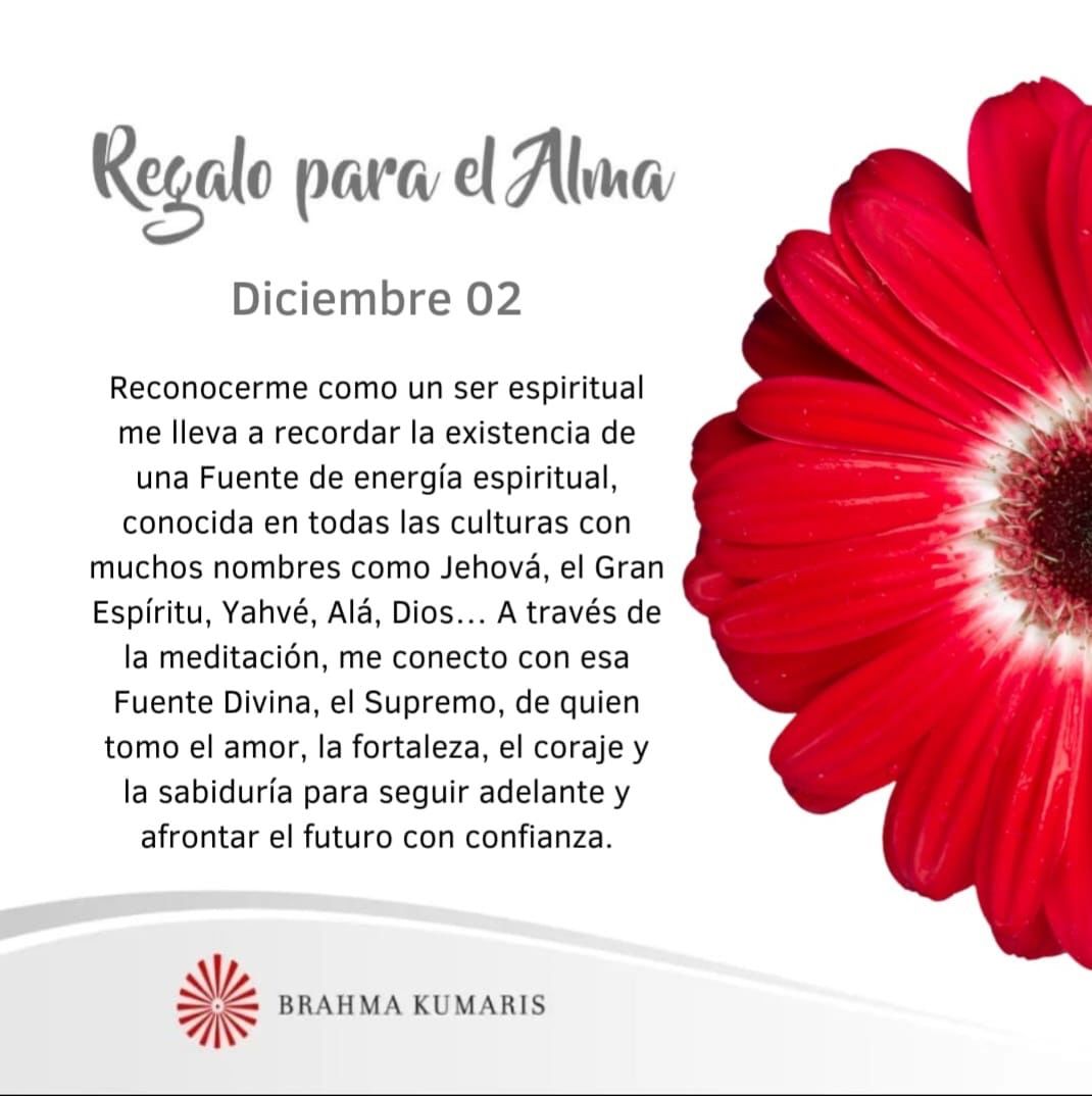 Conecto con el Divino