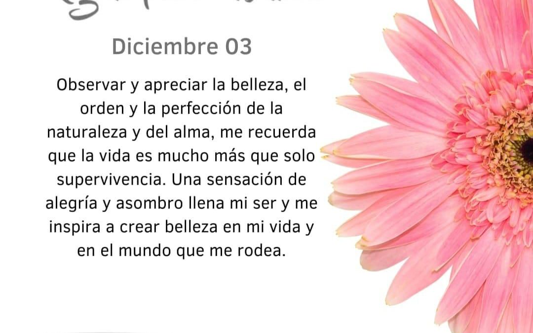 Me renuevo