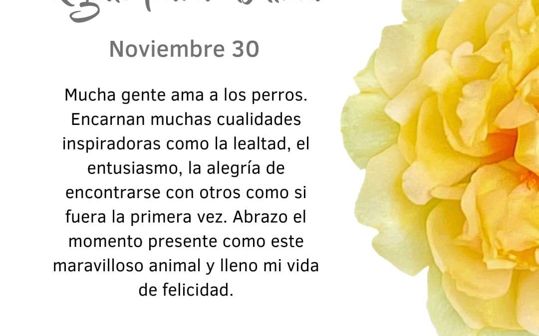 Lealtad, alegría