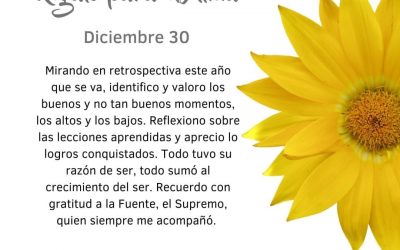 Lecciones aprendidas