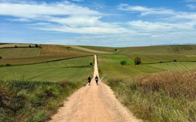 Os aportarán su ayuda…