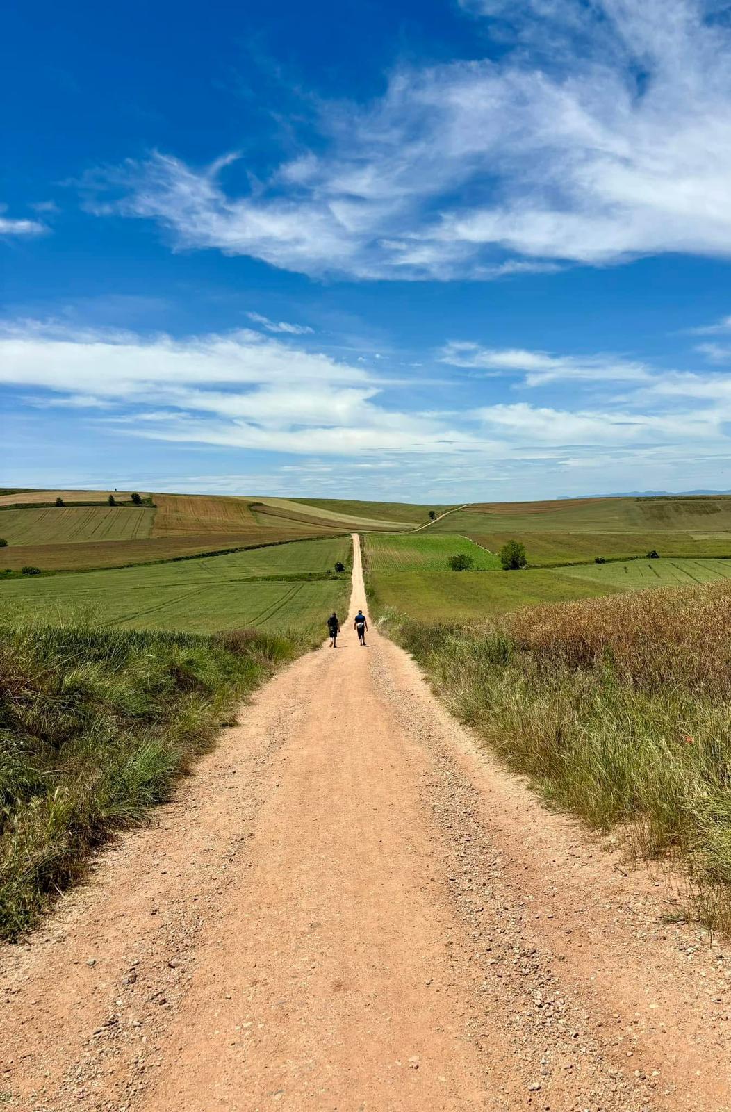 Os aportarán su ayuda…